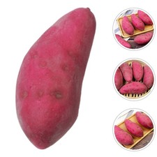 6 pezzi di simulazione di