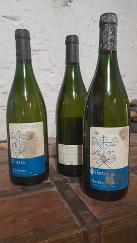 Vino vintage pomodolce diletto - vino,