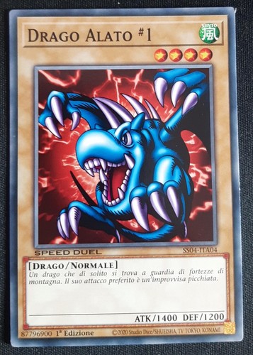 Drago alato comune - alato, in