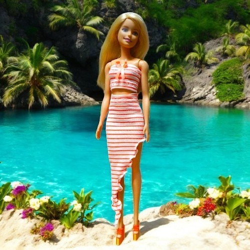 Barbie abbigliamento outfit