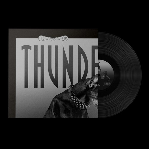 Various thunderdome vinyl - various,