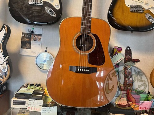 Chitarra acustica morris 60 - chitarra,