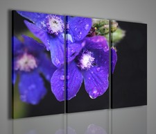 QUADRI MODERNI VIOLETTA QUADRO