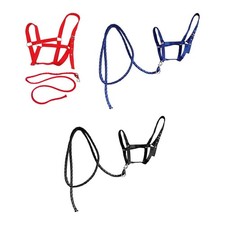 Cavezza per cavalli con redini