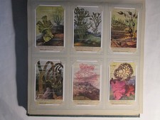 CHROMOS LIEBIG - s�rie n�1557 complete  1953 Les algues marines