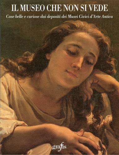 Museo che non vede - il,
