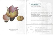 SERVIER ORLEANS IMPR KAPP VANVES J.FERRY  SARCOSPHAERA EXIMIA FUNGI VITATHION CH