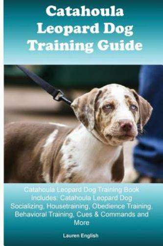 Catahoula leopard dog training - leopard,