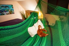 Mexi 4 verde scuro-verde