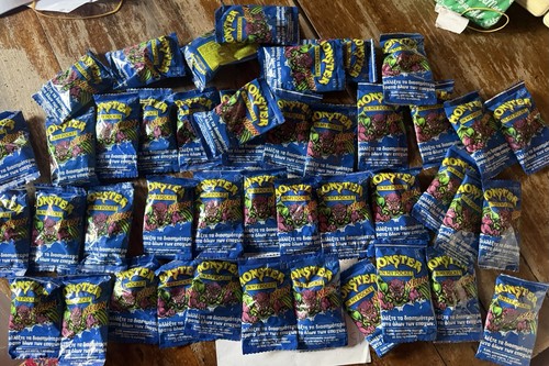 Monster pocket 1x neon - my,