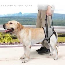 Dog Lifting Harness M/L