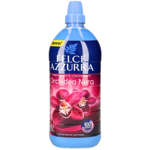 Felce ammorbidente orchidea - felce,