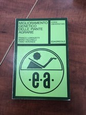 LORENZETTI-MIGLIORAMENTO