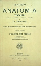 Trattato anatomia umana vol - di,