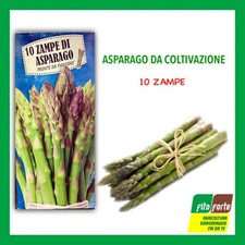 10 ZAMPE ASPARAGI DA