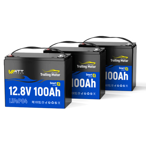 3pcs 12v 100ah motore - 12v, trolling