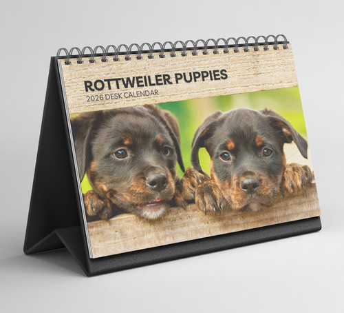 Rottweiler puppies calendario - rottweiler,