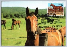 #2155 Quarter Horse Maxi Card
