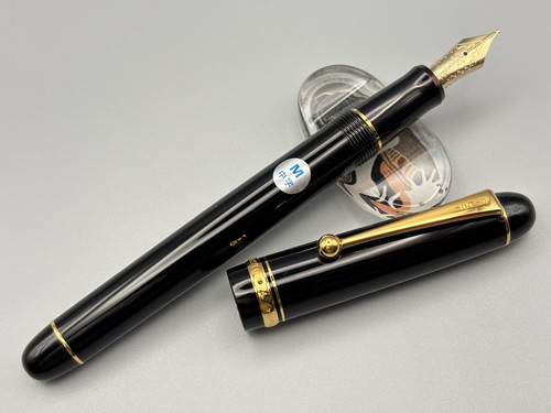 Penna stilografica pilot - penna,