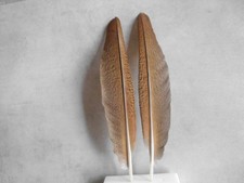 8 piume di pavone fantasia marrone, 26 cm, fai da te, floristica