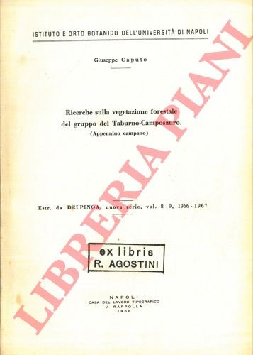 Caiazzo amedeo ricerche - amedeo,