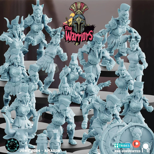 The warriors equipe amazone - equipe,