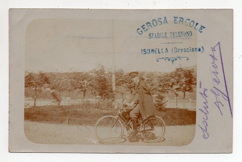 Isorella gerosa ercole - isorella,