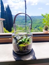 terrario artistico tondo con piante tropicali (piccolo)