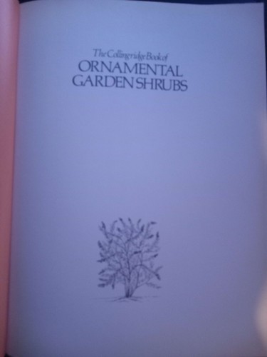 Ornamental garden shrugs - garden,