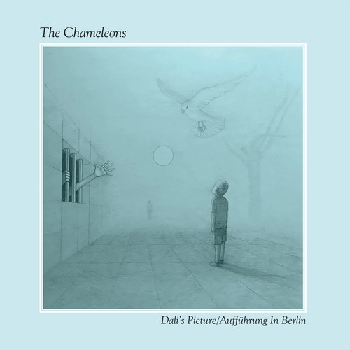 The chameleons dali picture - the,