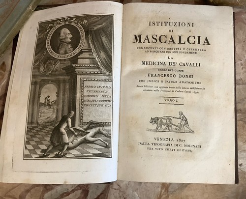 Bonsi mascalcia medicina - mascalcia,