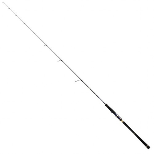 Canna spinning daiwa - canna,
