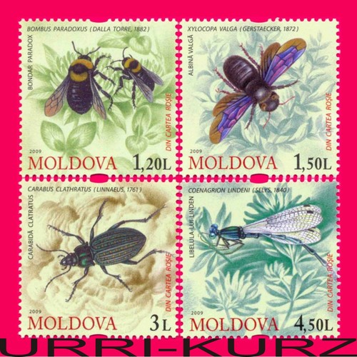 Moldavia 2009 fauna rara - moldavia,