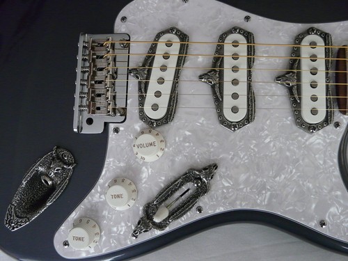 Steer longhorn skull - steer, parts