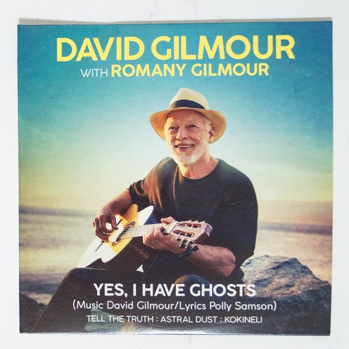David gilmour with romany - david,