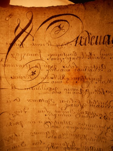 1656 documento antico - , 12