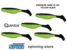 QUANTUM WECHSLER SHAD 10