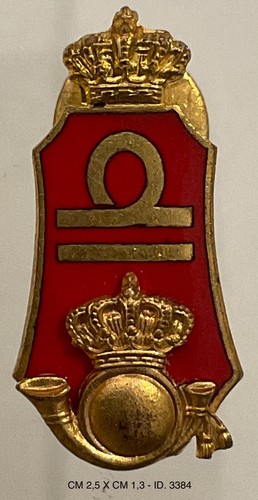 Regio esercito reggimento - regio,