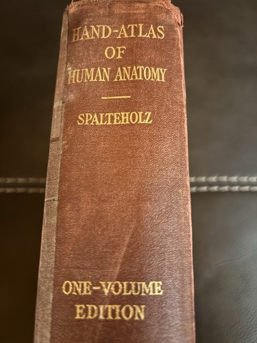 Hand atlas human anatomy - of,