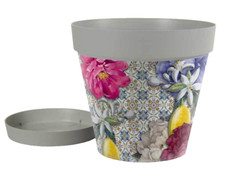 VASO PIANTE GRASSE FIORI SEMI