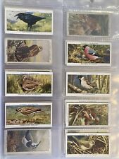 1932 Player's Wild Birds (Small) Cigarette Cards - Pick Your Cards