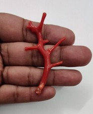 Ramo di corallo rosso pietra