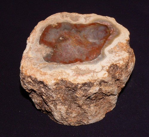 Legno fossile madagascar - legno,