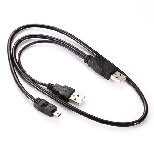 Dua maschio mini pin - a,