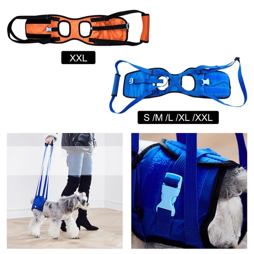 Pet assist sling artrite - pet,