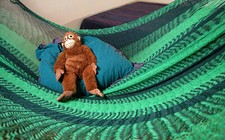 Mexi 2 verde-verde chiaro-