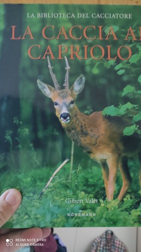Caccia capriolo - capriolo,