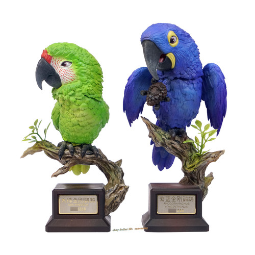 Animal bangbang what bird - animal,