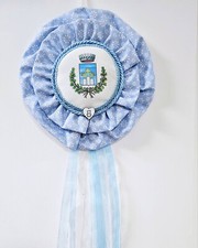 Sawgrass SG500 stampante sublimatica per tazze, magliette, calamite, ecc