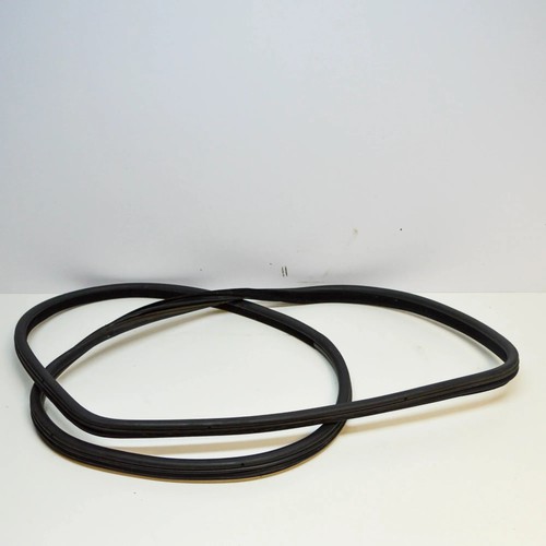 Bmw e70 guarnizione porta - x5,
